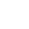 Webinar